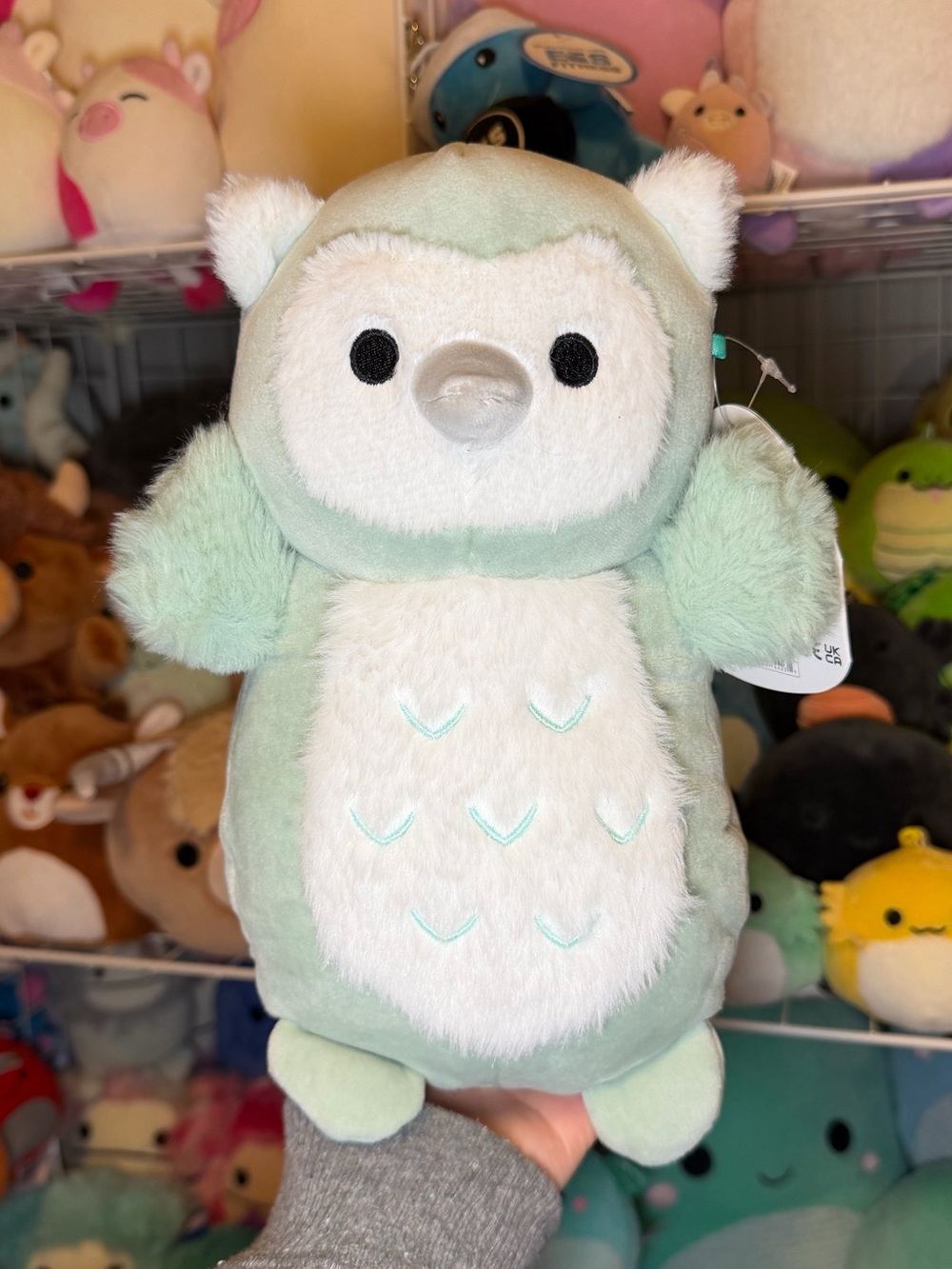 Squishmallows Squishmallow Petrina the Mint Green Owl 10” Hugmee Stuffed Plush